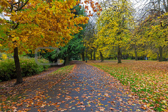 Fall Season at Laurelhurst Park in Portland Oregon
