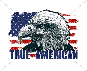 American eagle against USA flag.