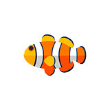 Clown Fish Primitive Style Childish Sticker