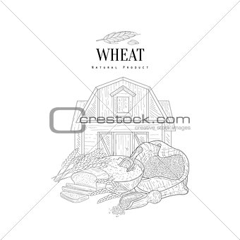 Wheat Grain, Flour And Farm Hand Drawn Realistic Sketch