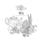 Natural Herbal Tea Ingredients Hand Drawn Realistic Sketch