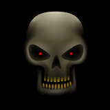 skull in the dark