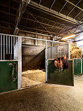 riding school with horse stable