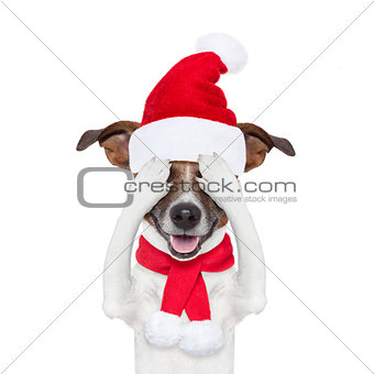 christmas santa dogs