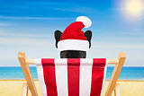 dog beach chair on christmas holidays