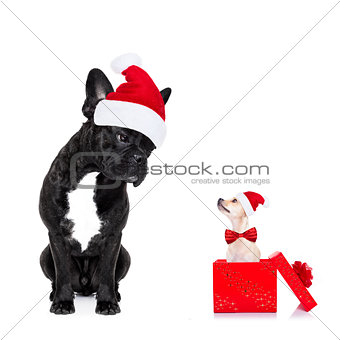 christmas santa dogs