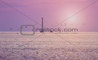 Pink sunset sky with crane on water surface with birds
