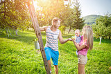 Young family picking apples from an apple tree