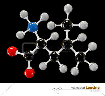 Illustration of Leucine Molecule isolated black background