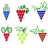 Grapes icons