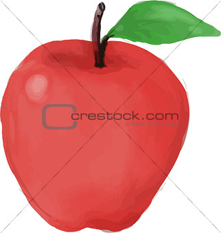 Apple Watercolor