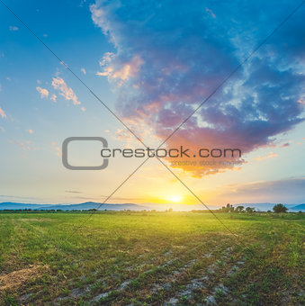 Meadow with beautiful sunset sky