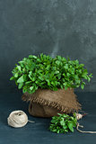 Brown pot, sheaf of mint and skein of twine