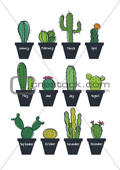 Cute cactus set, vector illustration
