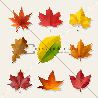 Set of Nine Vector Low Poly Autumn Leaves