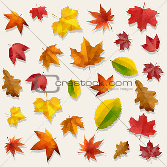 Yellow Orange Red Flying Autumn Leaves Vector Background