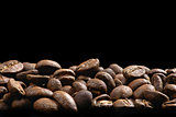 coffee bean on a black background
