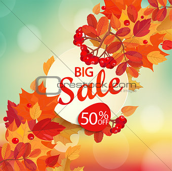 Big sale - autumn background.