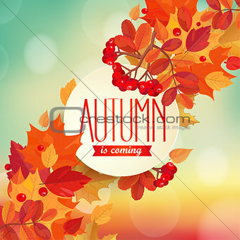 Autumn is coming - background.