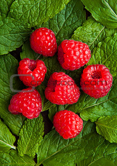 Raspberries on mint leaves clos up photography