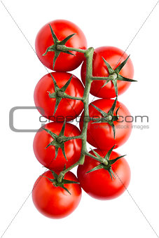 Fresh organic tomatoes isolated on white background