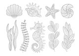 Underwater Nature Set Adult Zentangle Coloring Book Illustration