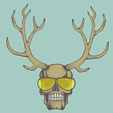 Vector skull illustration