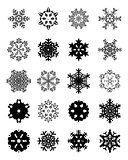 different black snowflakes