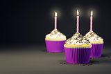 delicious cupcakes with a burning candles