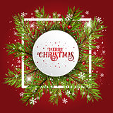 Christmas background with fir tree branches and berries