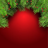 Christmas background with fir tree branches and berries 1410