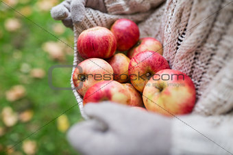 woman with apples at autumn garden