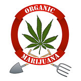 Organic marijuna-cannabis