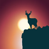 Landscape background. Deer standing on a hill