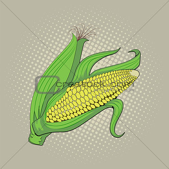 Ear of corn, pop art retro vector illustration