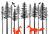 Foxes in forest, vector