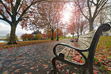Park Benches in the Park in Autumn