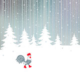 Cock walking on a snowy winter the magical forest.