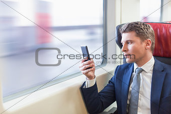 Businessman in a train