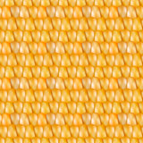 Realistic texture corn, vector illustration.