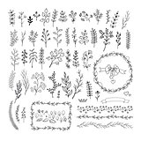 Floral vintage hand drawn vector collection