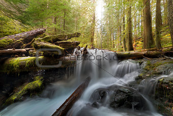 Panther Creek in Gifford Pinchot National Forest