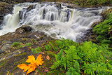Yacolt Falls in Autumn