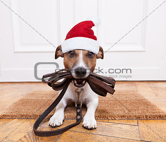 dog leather leash for christmas