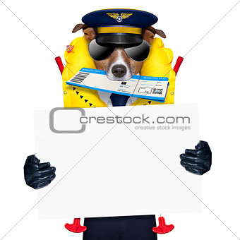 airline pilot flight attendant check in  ticket