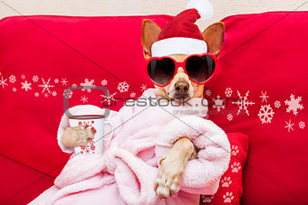 dog spa wellness christmas holidays