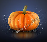 Pumpkin isolated on blue with splashes of water. Realistic vector illustration.