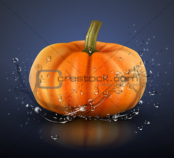 Pumpkin isolated on blue with splashes of water. Realistic vector illustration.