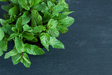 Mint leaves in wooden cup 