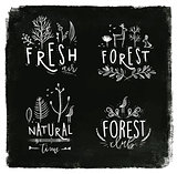 Forest labels chalk